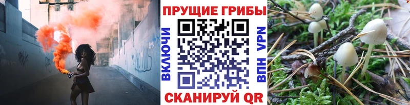 Галлюциногенные грибы Magic Shrooms  Алапаевск 